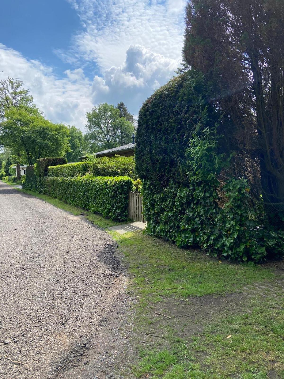 Ruime En Comfortabele Bungalow Aan Bosrand Lage Mierde Exterior foto